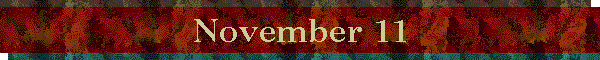 November 11
