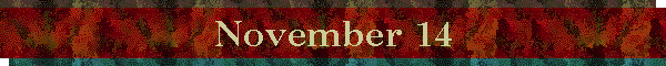 November 14