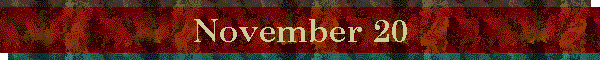 November 20