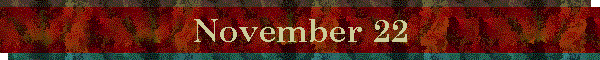 November 22