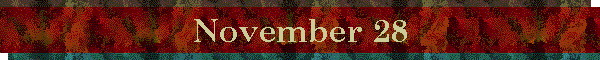 November 28