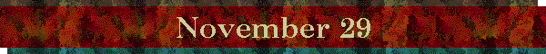 November 29