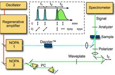 2D Electronic Spectroscopy