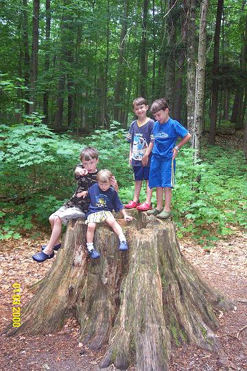 boys