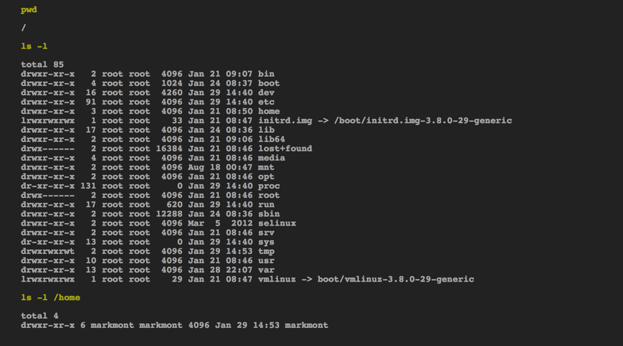 Screenshot of the shell, showing the root directory