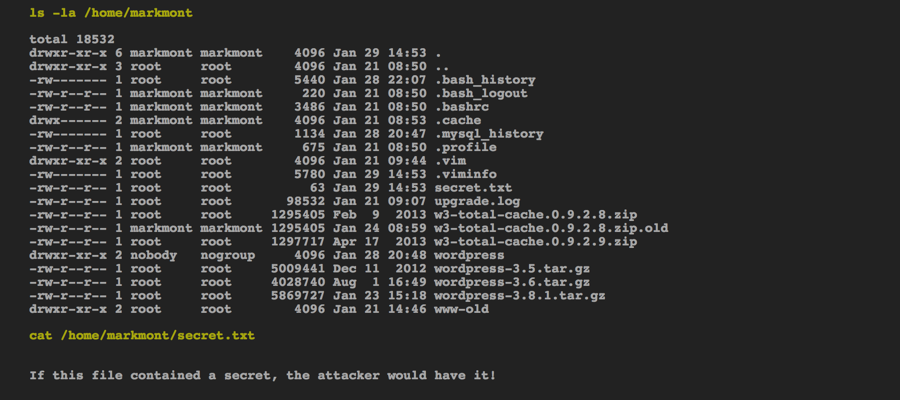 Screenshot of the shell, showing a user's home directory
