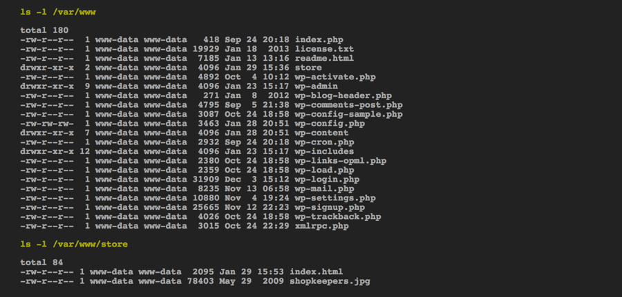 Screenshot of the shell, showing the results of the download (the modified WordPress directory)