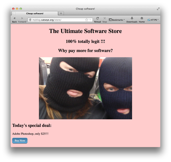 Screenshot of a web browser window showing the resulting 'store'
