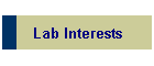 Lab Interests