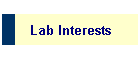 Lab Interests