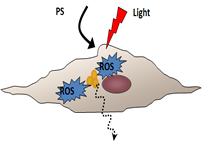 nanomedicine