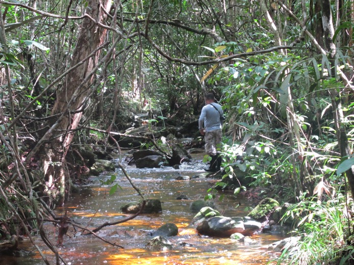 Itabaiana Stream