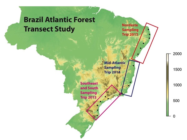Brazil's Atlantic Forest six years on 