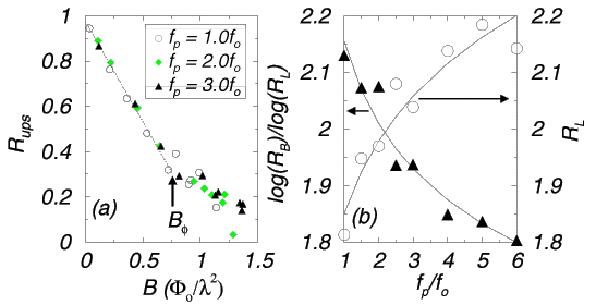 pin occupancy, length ratio, and fractal dimension