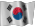 the South Korean flag waving