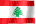 the Lebanese flag waving