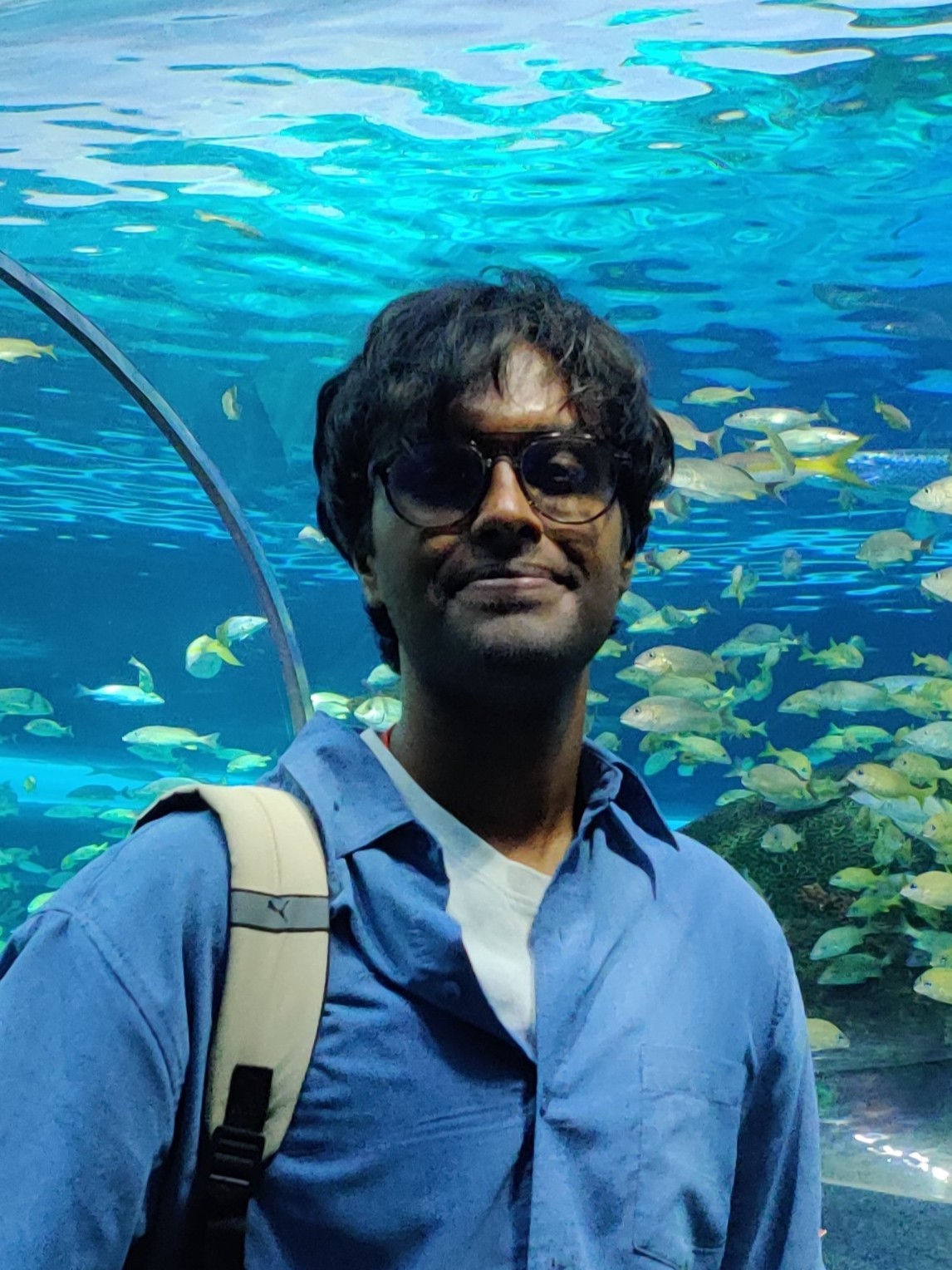 Akshay Bhaskaran
