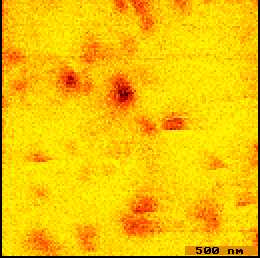 fig 3a: Single DiI molecules