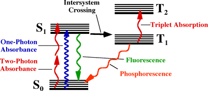 fig 7: Jablonski Diagram