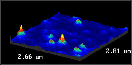 fig 8: Two-Photon SMD Image