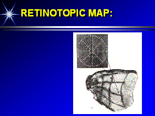 RETINOTOPIC MAP: