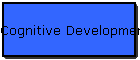 Cognitive Development