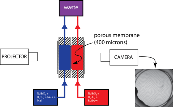 Coupled BZ experiment