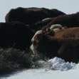Upper_Gunnison_Basin