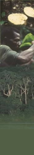 Navbar
