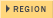 REGION