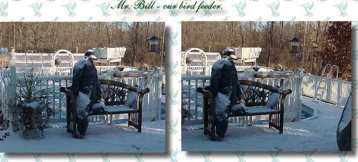 Mr. Bill - our bird feeder.