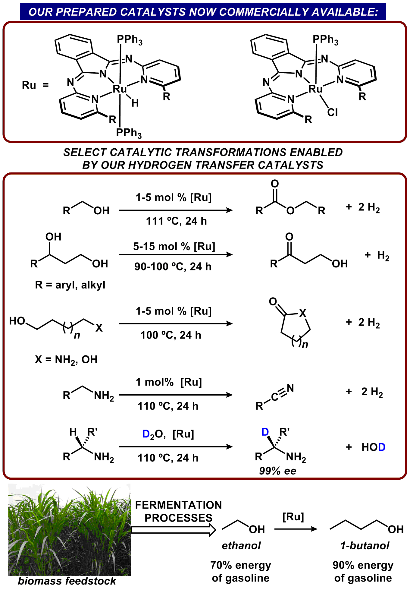Secondary Coordination Sphere
