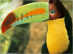 Photoshop Exercise at WMCAT