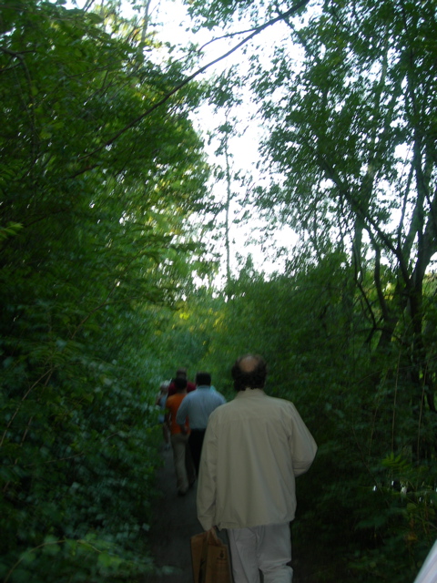 DSCN0399.JPG