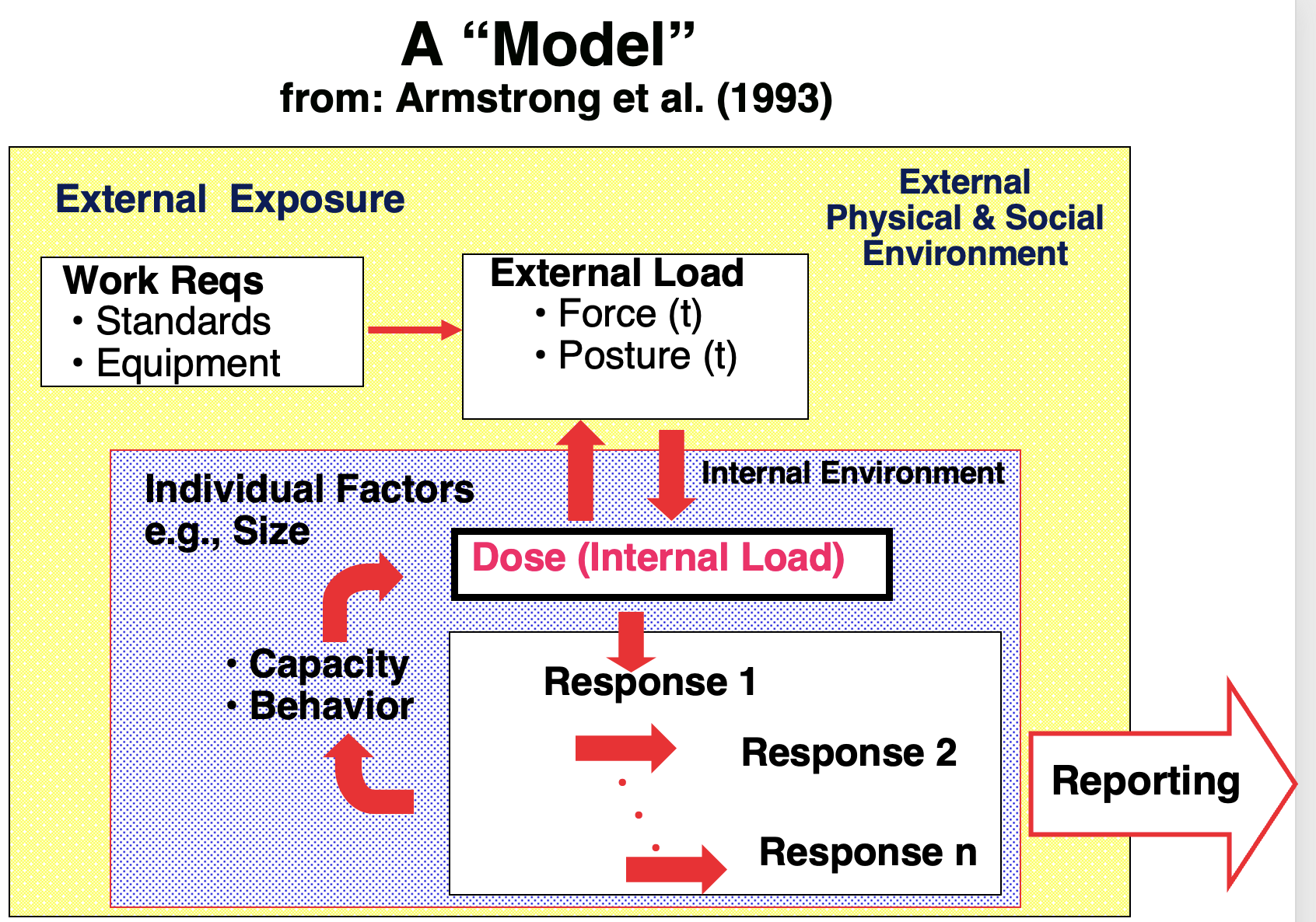Cascade MSD model