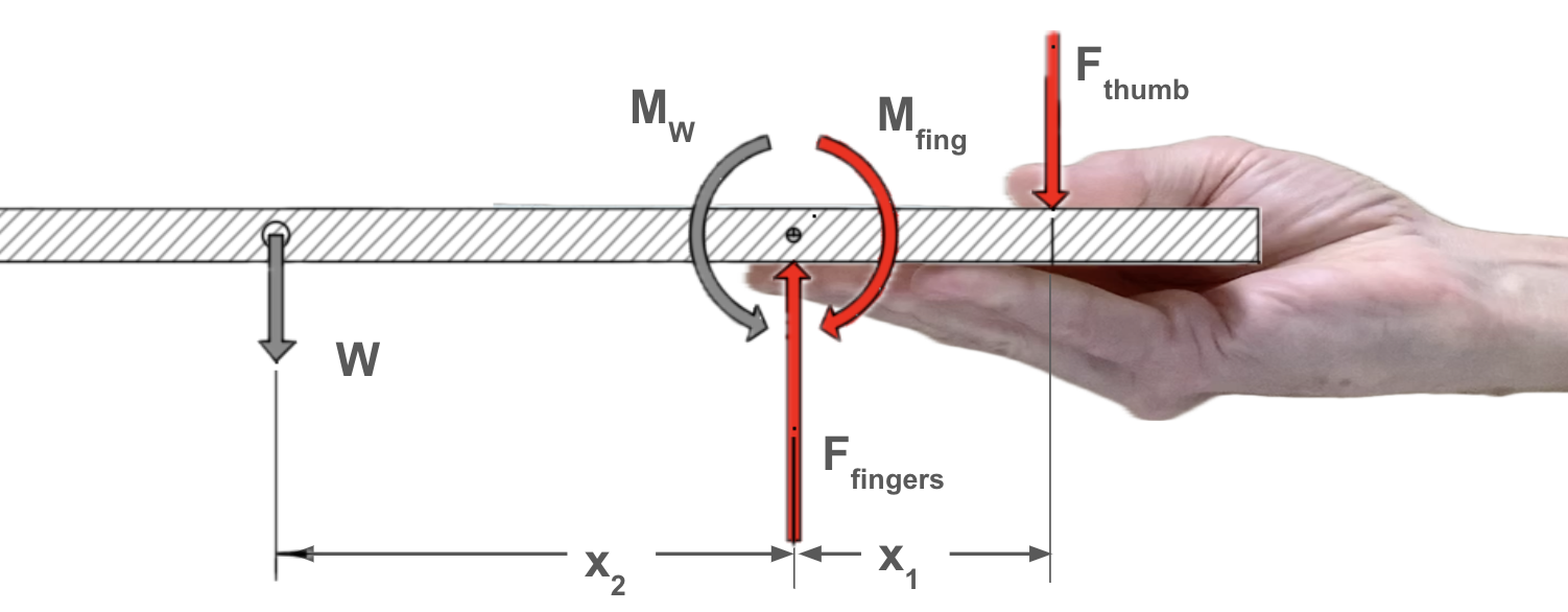 holding a tray between the fingers and thumb with an outstretched forearm