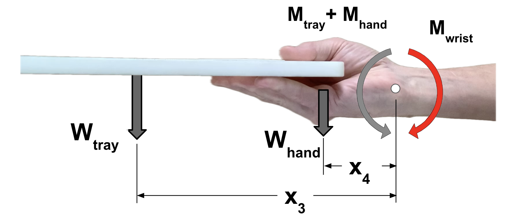 holding a tray between the fingers and thumb with an outstretched forearm