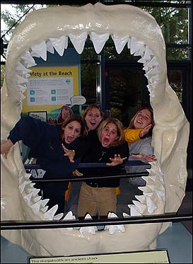I bet you'd like to know what Chelsea and the other gymnasts are doing inside those giant jaws ... join us and we'll tell you.