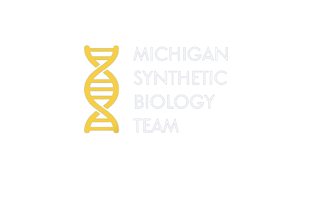 Michigan Synthetic Biology Team logo.