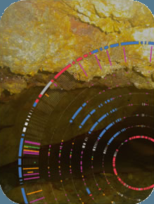 Microbial evolution in the wild