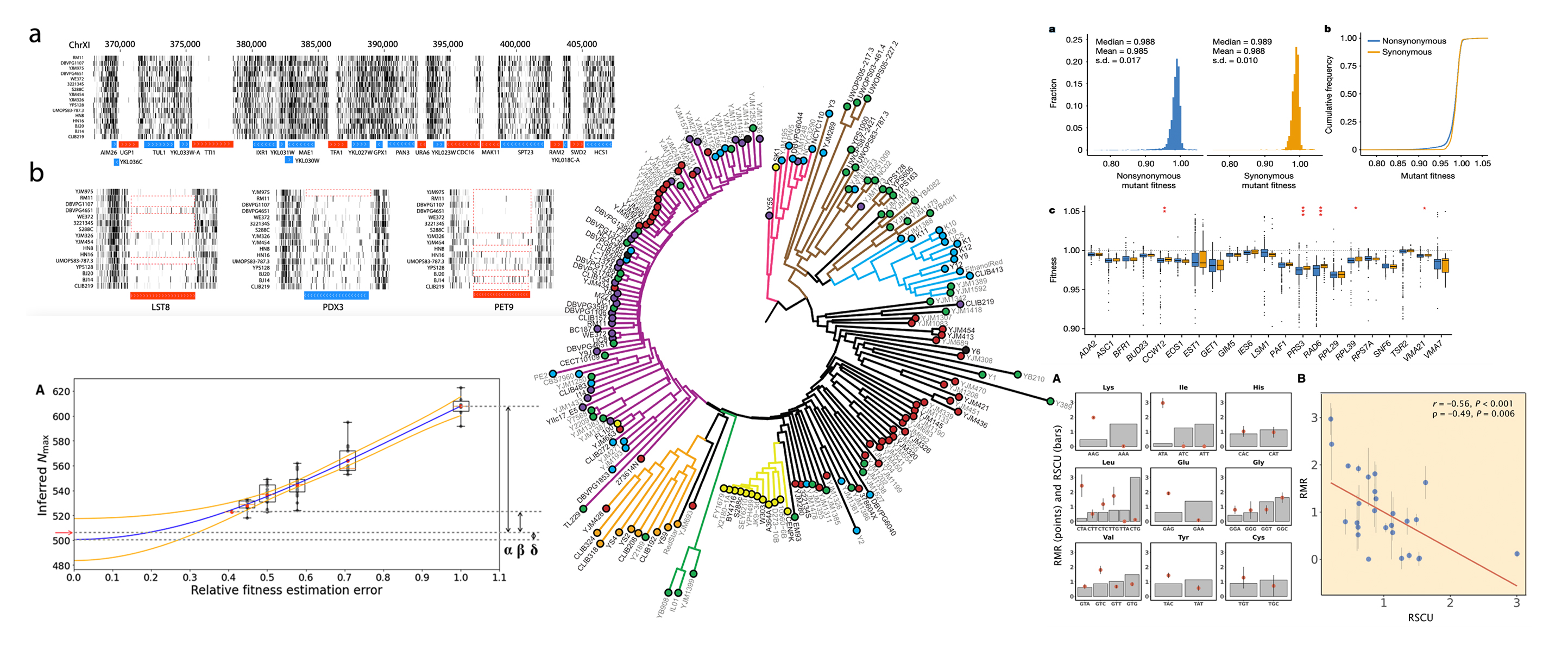 Jianzhi Zhang's Lab of Molecular & Genome Evolution